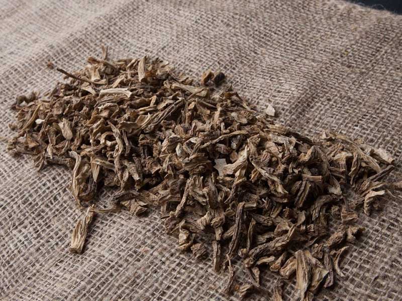 angelica-root-dry-gin-botanicals