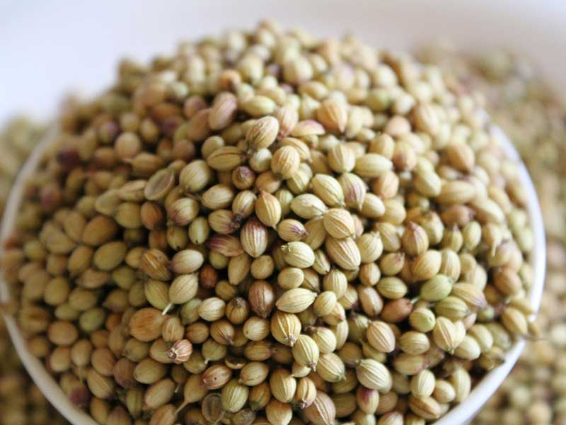 coriander-seed-botanical-the-gin-pot